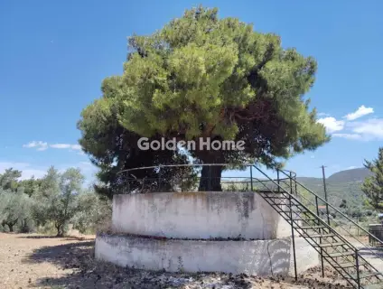 Μονοκατοικία 280τ.μ. προς πώληση φωτογραφία 5509796