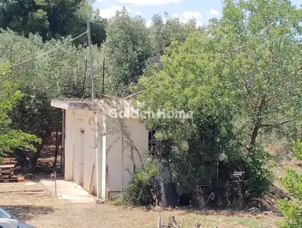 Μονοκατοικία 280τ.μ. προς πώληση φωτογραφία 5509789