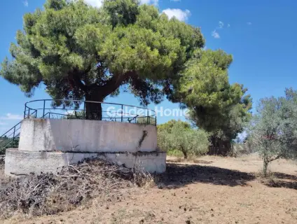 Μονοκατοικία 280τ.μ. προς πώληση φωτογραφία 5509794