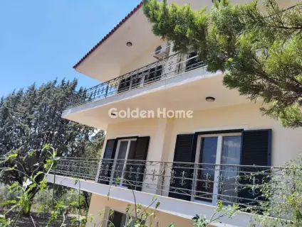 Μονοκατοικία 280τ.μ. προς πώληση φωτογραφία 5509685