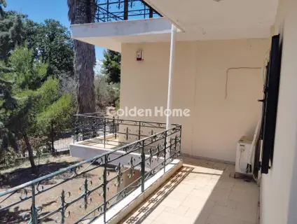 Μονοκατοικία 280τ.μ. προς πώληση φωτογραφία 5509693