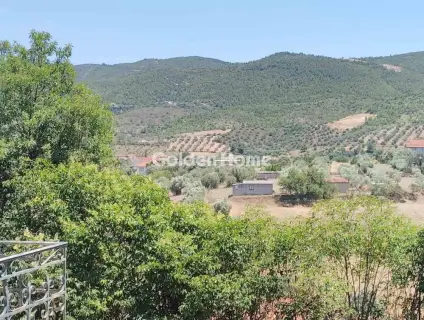 Μονοκατοικία 280τ.μ. προς πώληση φωτογραφία 5509791