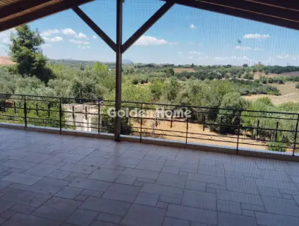 Μονοκατοικία 280τ.μ. προς πώληση φωτογραφία 5509801