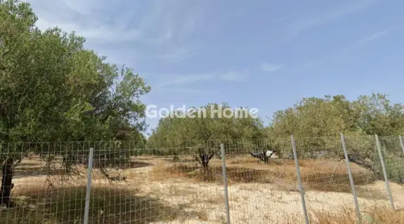 Αγροτεμάχιο 944τ.μ. προς πώληση φωτογραφία 5509549