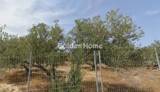 Αγροτεμάχιο 944τ.μ. προς πώληση φωτογραφία 5509550