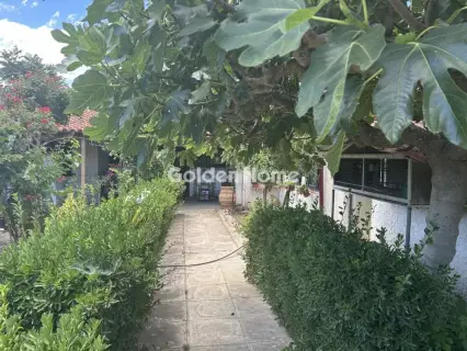 Μονοκατοικία 115τ.μ. προς πώληση φωτογραφία 5