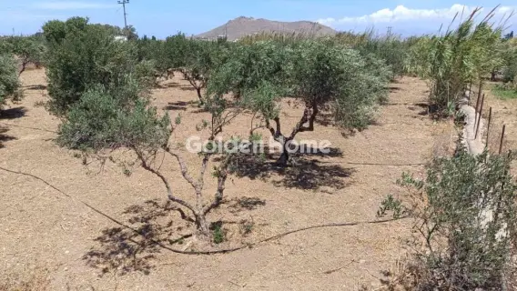 Residential 2100m<sup>2</sup> for sale photo 5506265