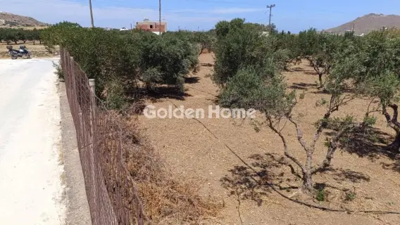 Residential 2100m<sup>2</sup> for sale photo 5506266