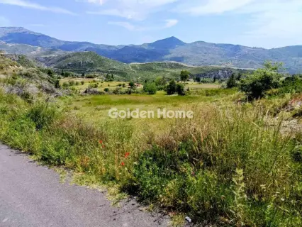 Αγροτεμάχιο 4105τ.μ. προς πώληση φωτογραφία 5507171