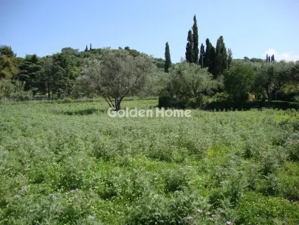 Residential 2596m<sup>2</sup> for sale photo 3