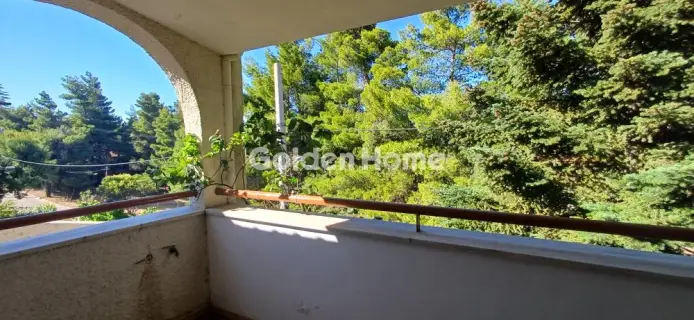Μονοκατοικία 255τ.μ. προς πώληση φωτογραφία 48