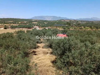 Μονοκατοικία 235τ.μ. προς πώληση φωτογραφία 5509795