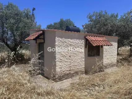Μονοκατοικία 235τ.μ. προς πώληση φωτογραφία 5509832