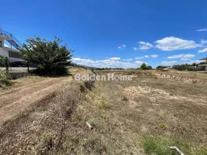 Επαγγελ. Οικόπεδο 6000τ.μ. προς πώληση φωτογραφία 4