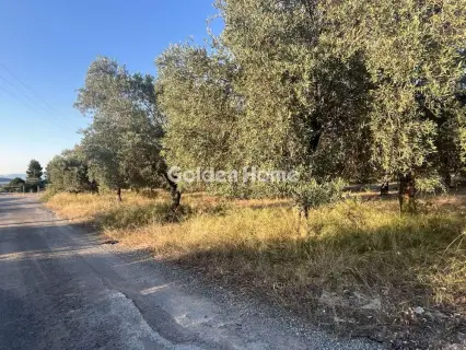 Parcel 4300m<sup>2</sup> for sale photo 5510548
