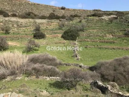 Professional Plot 44000m<sup>2</sup> for sale photo 5