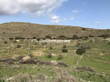 Professional Plot 44000m<sup>2</sup> for sale photo 3