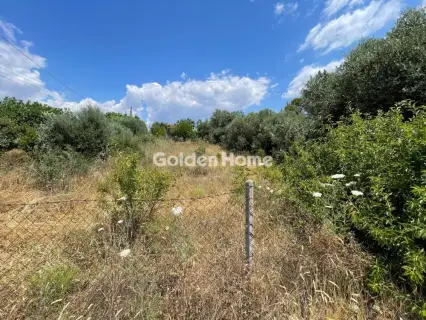 Residential 600m<sup>2</sup> for sale photo 5520225