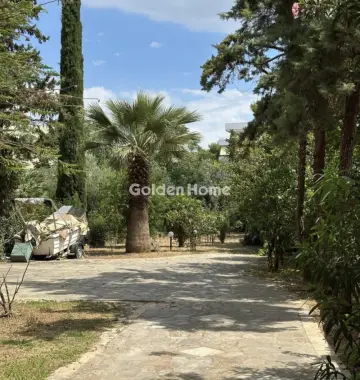 Apartment 100m<sup>2</sup> for sale photo 5528288