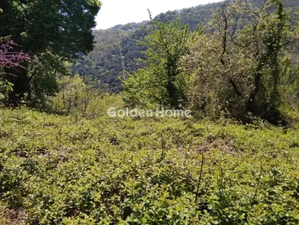 Αγροτεμάχιο 4017τ.μ. προς πώληση φωτογραφία 5513664