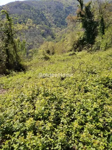 Αγροτεμάχιο 4017τ.μ. προς πώληση φωτογραφία 5513664