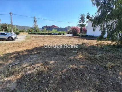 Professional Plot 1000m<sup>2</sup> for sale photo 2
