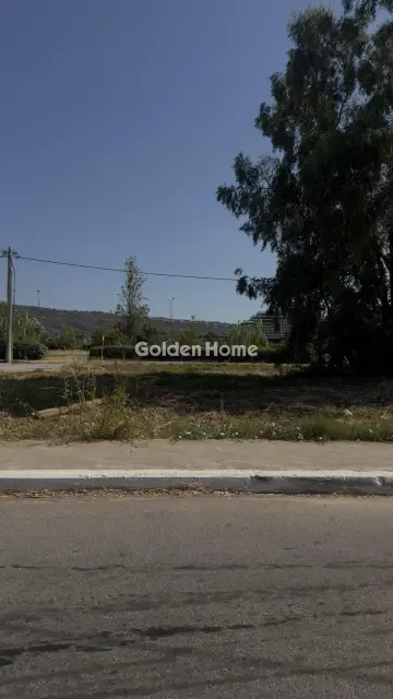 Professional Plot 1000m<sup>2</sup> for sale photo 4