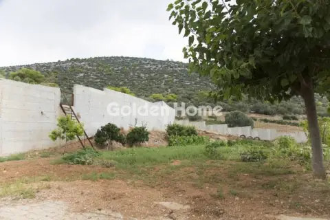 Μονοκατοικία 741τ.μ. προς πώληση φωτογραφία 2