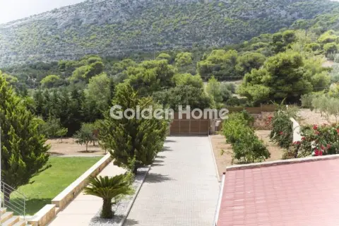 Μονοκατοικία 741τ.μ. προς πώληση φωτογραφία 3