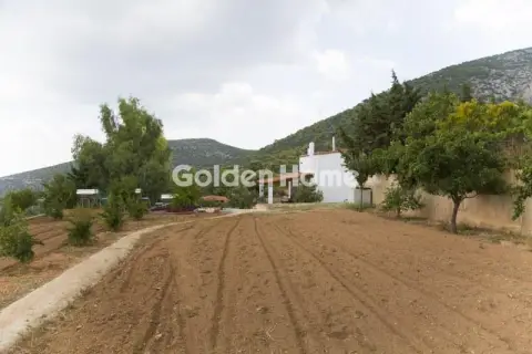 Μονοκατοικία 741τ.μ. προς πώληση φωτογραφία 12