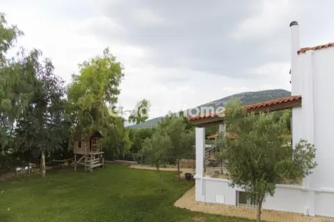 Μονοκατοικία 741τ.μ. προς πώληση φωτογραφία 8