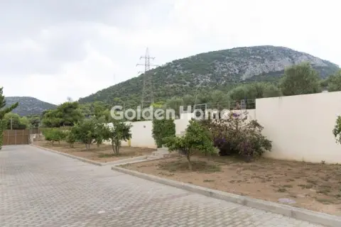 Μονοκατοικία 741τ.μ. προς πώληση φωτογραφία 18