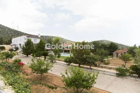 Μονοκατοικία 741τ.μ. προς πώληση φωτογραφία 22