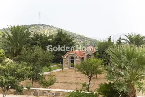 Μονοκατοικία 741τ.μ. προς πώληση φωτογραφία 19
