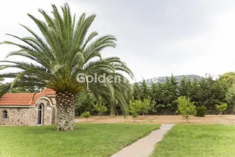 Μονοκατοικία 741τ.μ. προς πώληση φωτογραφία 26
