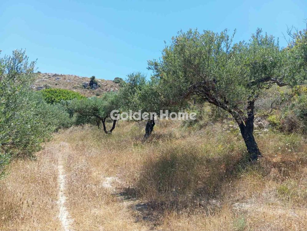 Αγροτεμάχιο 4000τ.μ. προς πώληση φωτογραφία προβολής