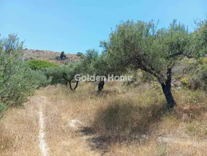 Residential 6000m<sup>2</sup> for sale photo 2