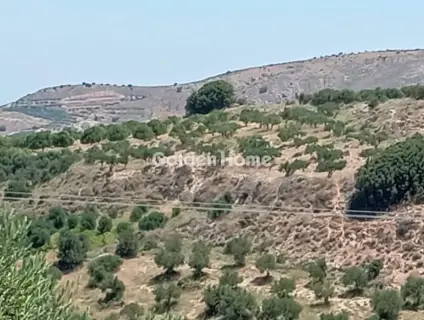 Residential 6000m<sup>2</sup> for sale photo 3