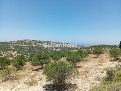 Residential 6000m<sup>2</sup> for sale photo 10