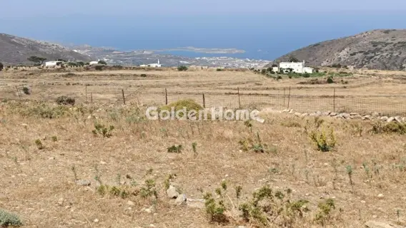 土地 25000m<sup>2</sup> for sale photo 5