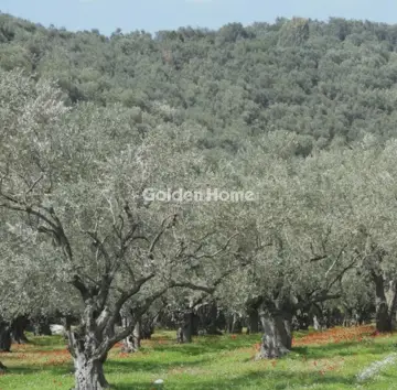Αγροτεμάχιο 4100τ.μ. προς πώληση φωτογραφία 5666457