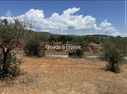 Residential 6906m<sup>2</sup> for sale photo 3