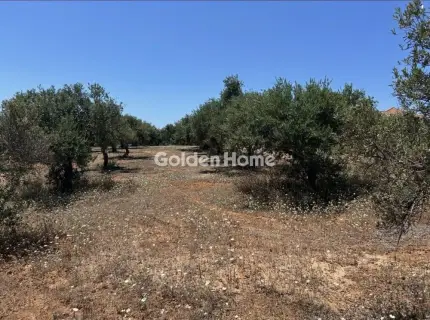 Residential 6906m<sup>2</sup> for sale photo 4
