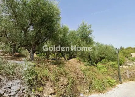 Residential 61567m<sup>2</sup> for sale photo 5553164