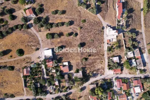 Οικιστικό 3000τ.μ. προς πώληση φωτογραφία 2