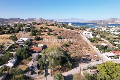 Οικιστικό 3000τ.μ. προς πώληση φωτογραφία 4