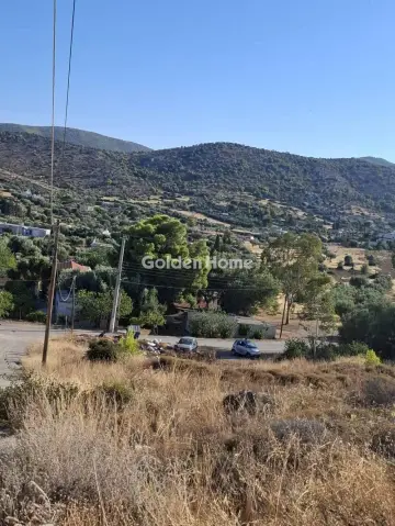 Οικιστικό 3000τ.μ. προς πώληση φωτογραφία 5