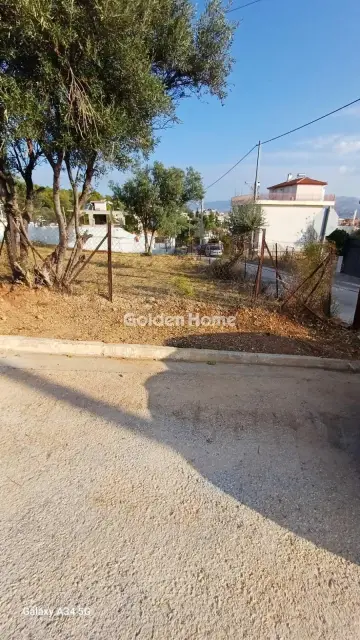 Residential 323m<sup>2</sup> for sale photo 5526272