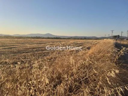 Αγροτεμάχιο 23000τ.μ. προς πώληση φωτογραφία 5526413