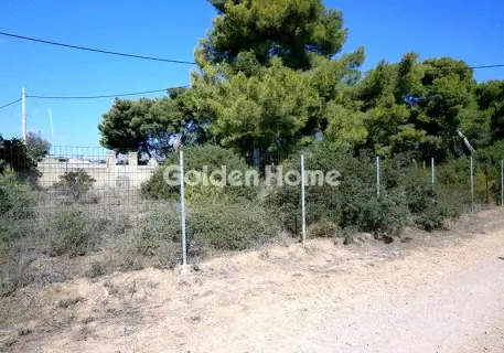住宅 370m<sup>2</sup> for sale photo 2